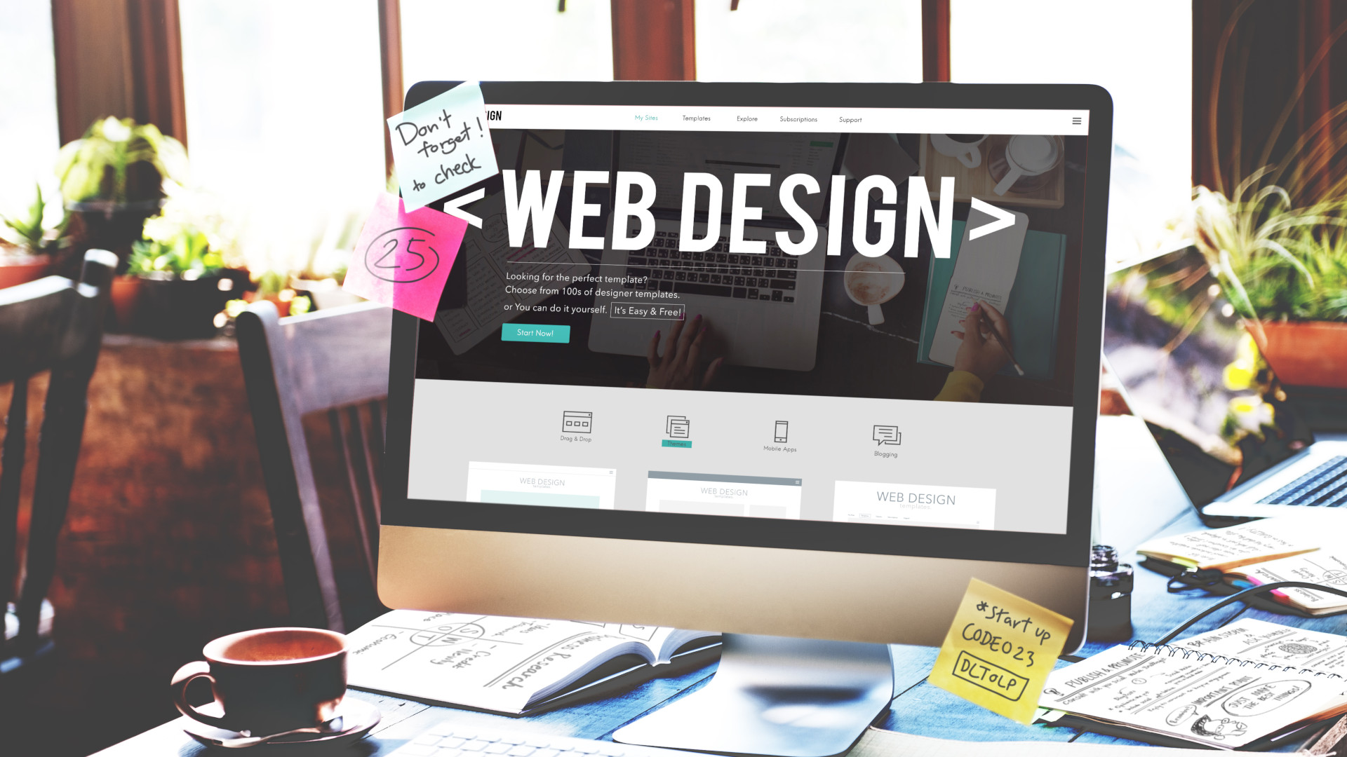 Web-Design & Development